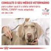 Royal Canin Veterinary Diet Cão Húmidos Renal Special 400gr