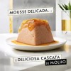 GOURMET Revelations Mousse com Salmão e uma cascata de molho 4x57gr