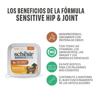 Schesir Cão Húmidos Sensitive Hip&Joint Veado Monoprotein