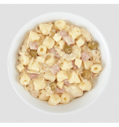 Schesir Cão Húmidos Taste the World Pack 3 sabores 6x150gr