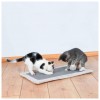 Trixie Tapete de Arranhar cinza 55x35cm (TX43110)