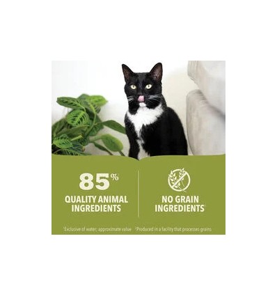 Acana Gato húmidos Kitten Frango com Peixe