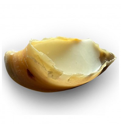 Vadigran Cão Snack Cascos Recheados com Sebo de Ovelha (emb. c/ 5un) (VA19495U)