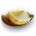 Vadigran Cão Snack Cascos Recheados com Sebo de Ovelha (emb. c/ 5un) (VA19495U)