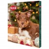 Trixie Cão Snacks Natal Calendário de Advento (TX9268)