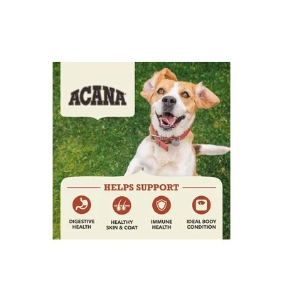 Acana Cão Singles Beef With Pumpkin