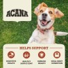Acana Cão Singles Beef With Pumpkin