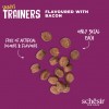 Schesir Snacks Cão Trainers 3kcal Bacon 113gr