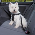 Trixie Peitoral com Cinto de Segurança para carro - XS (20/50cm)