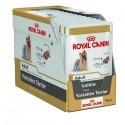 Royal Canin Yorkshire Terrier Adult, Cão, Húmidos, Adulto, Alimento