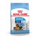 Royal Canin Maxi Starter, Cão, Seco, Adulto, Alimento/Ração