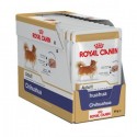 Royal Canin Chihuahua Adult, Cão, Húmidos, Adulto, Alimento
