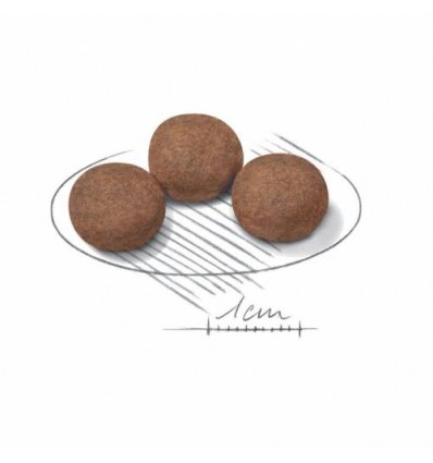 Royal Canin Medium Puppy 4kg