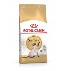 Royal Canin Siamese, Gato, Seco, Adulto, Siamês, Alimento/Ração