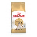 Royal Canin Siamese, Gato, Seco, Adulto, Siamês, Alimento/Ração
