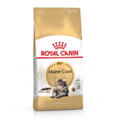 Royal Canin Maine Coon, Gato, Seco, Adulto, Maine Coon, Alimento/Ração