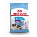 Royal Canin Giant Starter, Cão, Seco, Adulto, Alimento/Ração