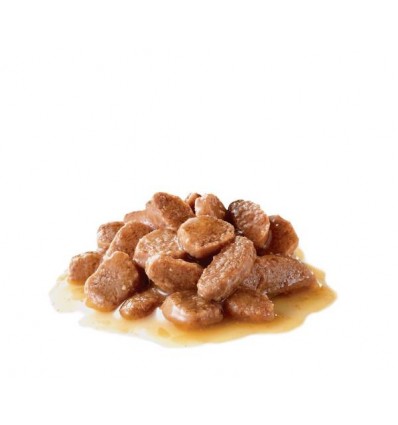 Royal Canin Gatos Hairball Care Húmidos Saquetas 85g x 6 uni.