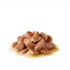 Royal Canin Intense Beauty (Gravy), Gatos, Húmidos, Adulto, Alimento