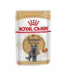 Royal Canin British Shorthair (Loaf), Gatos, Húmidos, Alimento