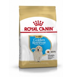 Royal Canin Golden Retriever Puppy, Cão, Seco, Cachorro, Alimentação/Ração
