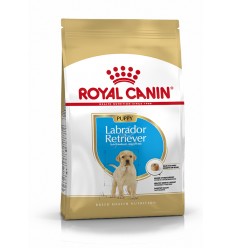 Royal Canin Labrador Retriever Puppy, Cão, Seco, Cachorro, Alimento/Ração