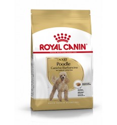 Royal Canin Poodle Adult, Cão, Seco, Adulto, Caniche, Alimento/Ração
