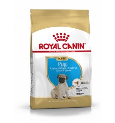 Royal Canin Pug Puppy, Cão, Seco, Cachorro, Alimento/Ração