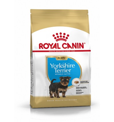Royal Canin Yorkshire Terrier, cão, Seco, Júnior, Alimento/Ração