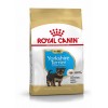 Royal Canin Yorkshire Terrier, cão, Seco, Júnior, Alimento/Ração