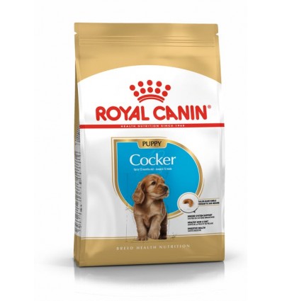 Royal Canin Cocker Puppy, Cão, Seco, Cachorro, Alimento/Ração