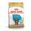 Royal Canin Cocker Puppy, Cão, Seco, Cachorro, Alimento/Ração