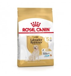 Royal Canin Labrador Retriever Adult 5+, Cão, Seco, Sénior, Alimento/Ração