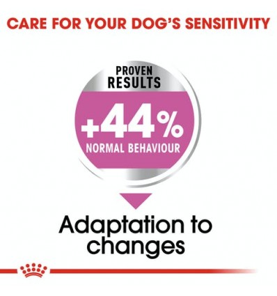 Royal Canin Mini Exigent 800g