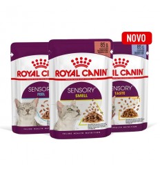 Royal Canin Sensory Taste, Gatos, Húmidos, Adultos, Alimento