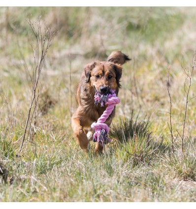 Brinquedo Trixie p/ Cão Corda Multicolorida com 2 Nós (40cm)