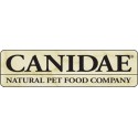 Canidae Cachorros
