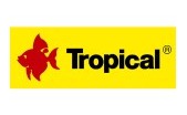 Tropical